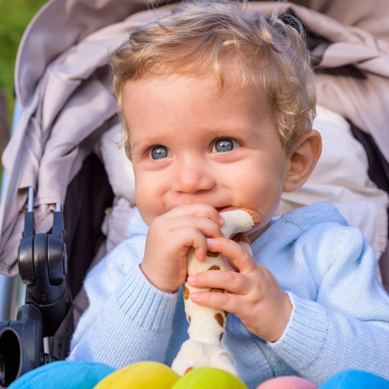 How To Choose A Pushchair Hello Baby how-to-choose-a-pushchair-hello-baby